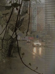 冷たい雨。。.。o○