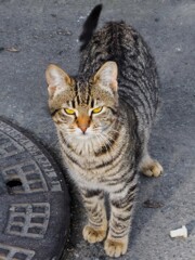 遊びを邪魔されて怒ったチビ助…！