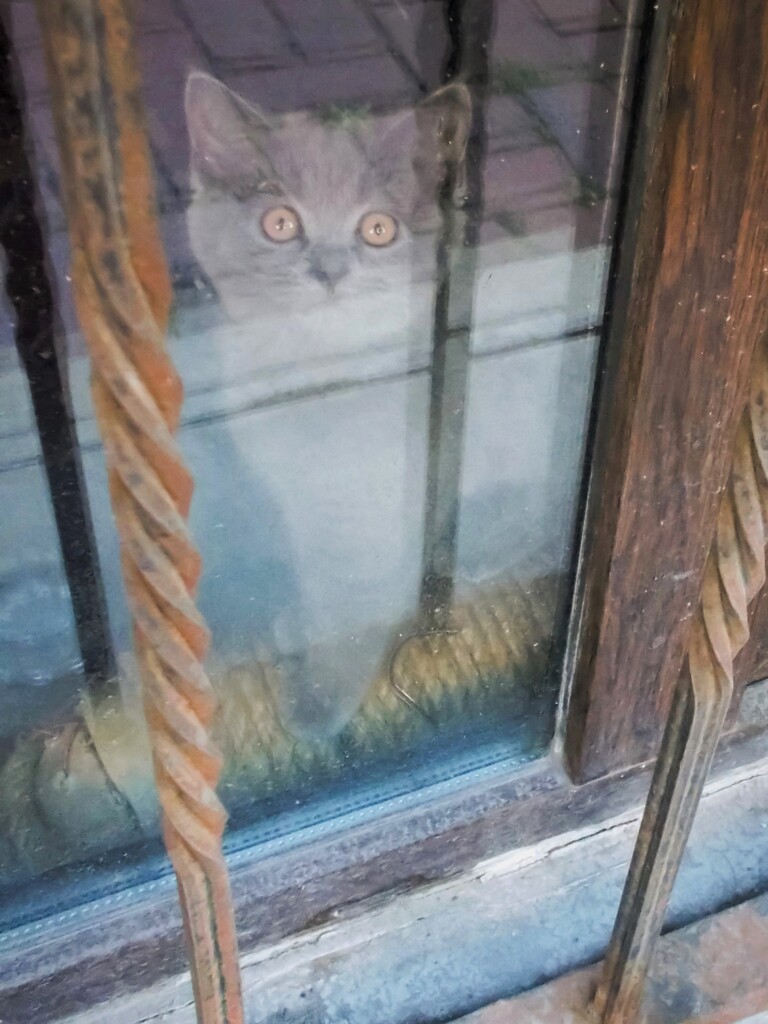 お外の世界…！？！
