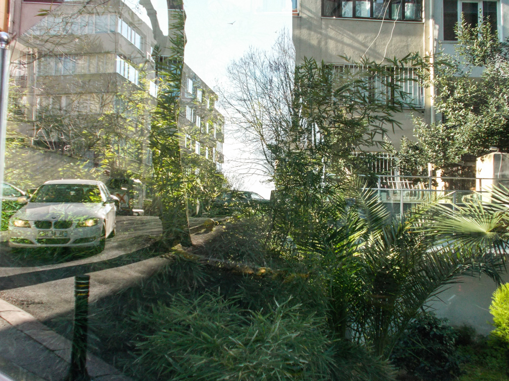 緑のリフレクション～☆