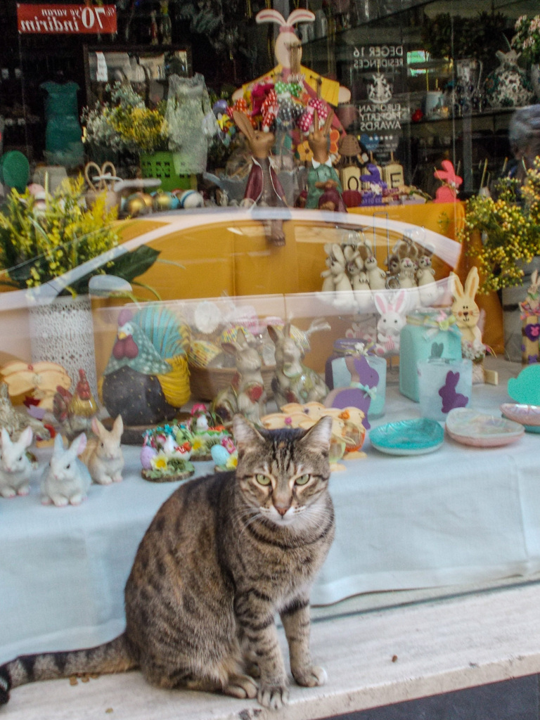 入店制限スーパーの行列で　気を引き締めてくしゃみなんてできません！