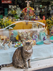 入店制限スーパーの行列で　気を引き締めてくしゃみなんてできません！