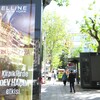 透明な　透明な5月の朝～～♪