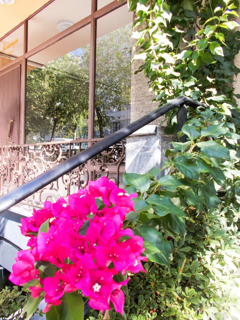 このマンションは　入口でチラッと燃えるおもてなし～♡