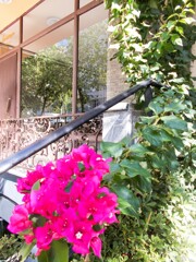 このマンションは　入口でチラッと燃えるおもてなし～♡