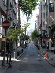 怖いもの見たさ…がそそられる狭い道…