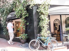 今　イスタンブールはジャスミンの香りでいっぱい～～