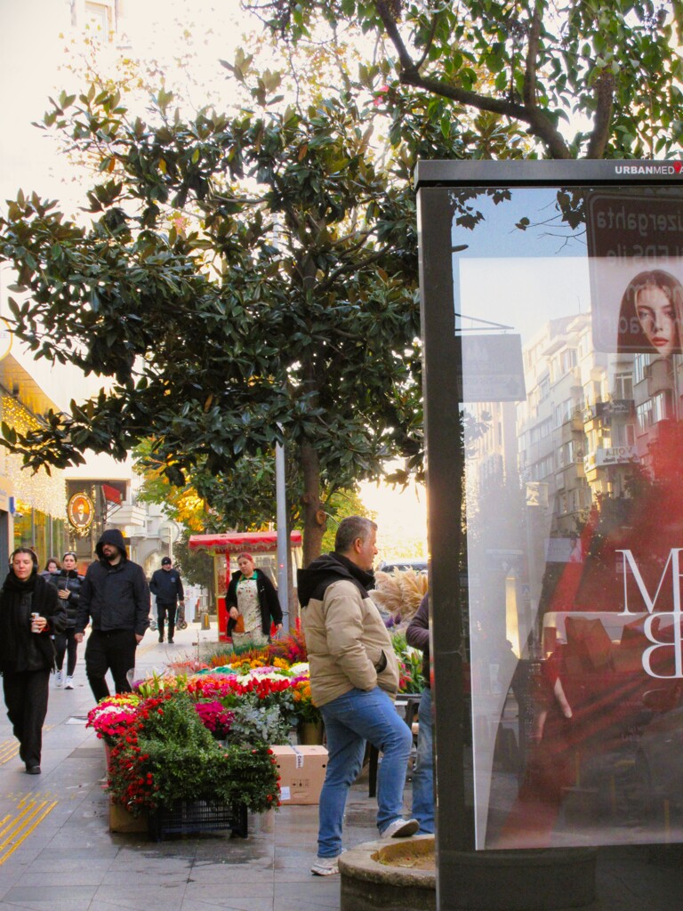 赤い花　黒い人