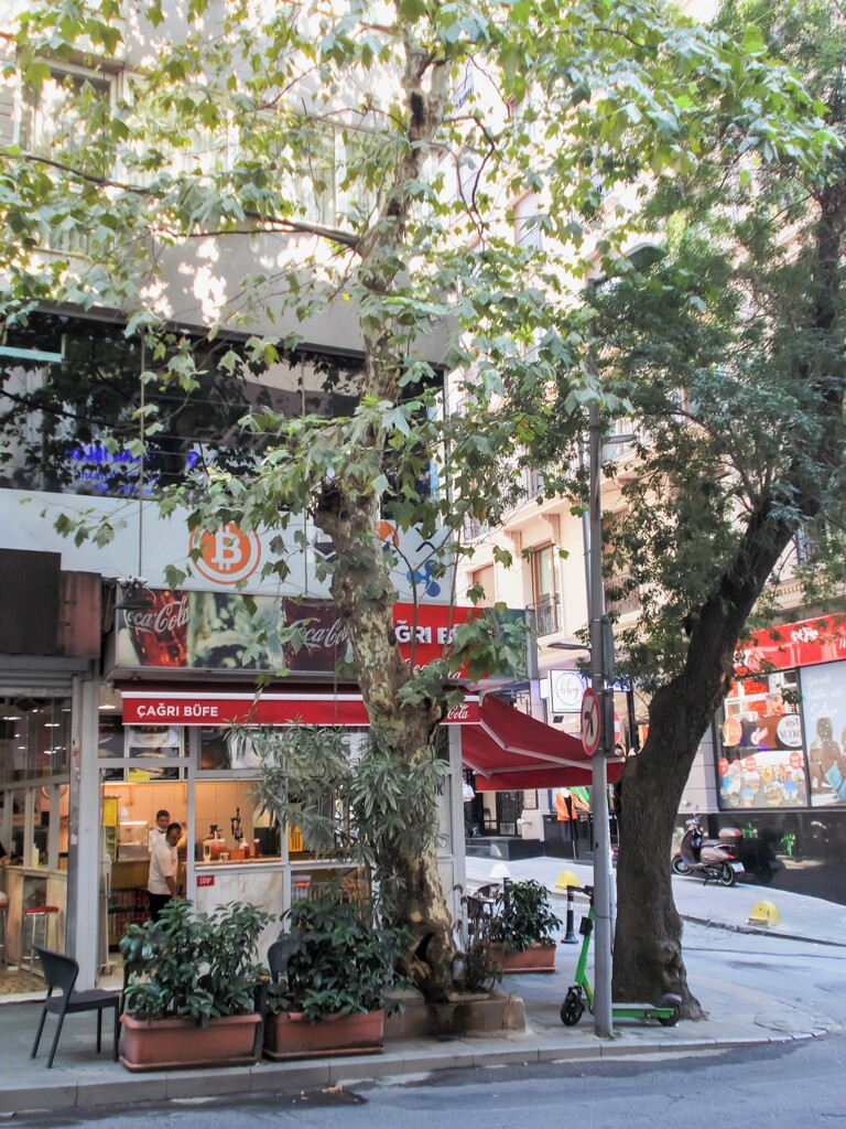 角の赤いビュフェ～