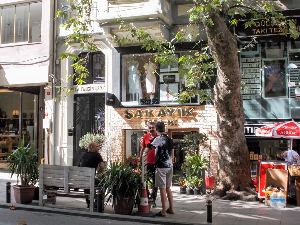 大きな菩提樹の樹の下で～♪～