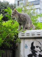 飛びます~ 計算中~~ 飛びます~ 計算中~~