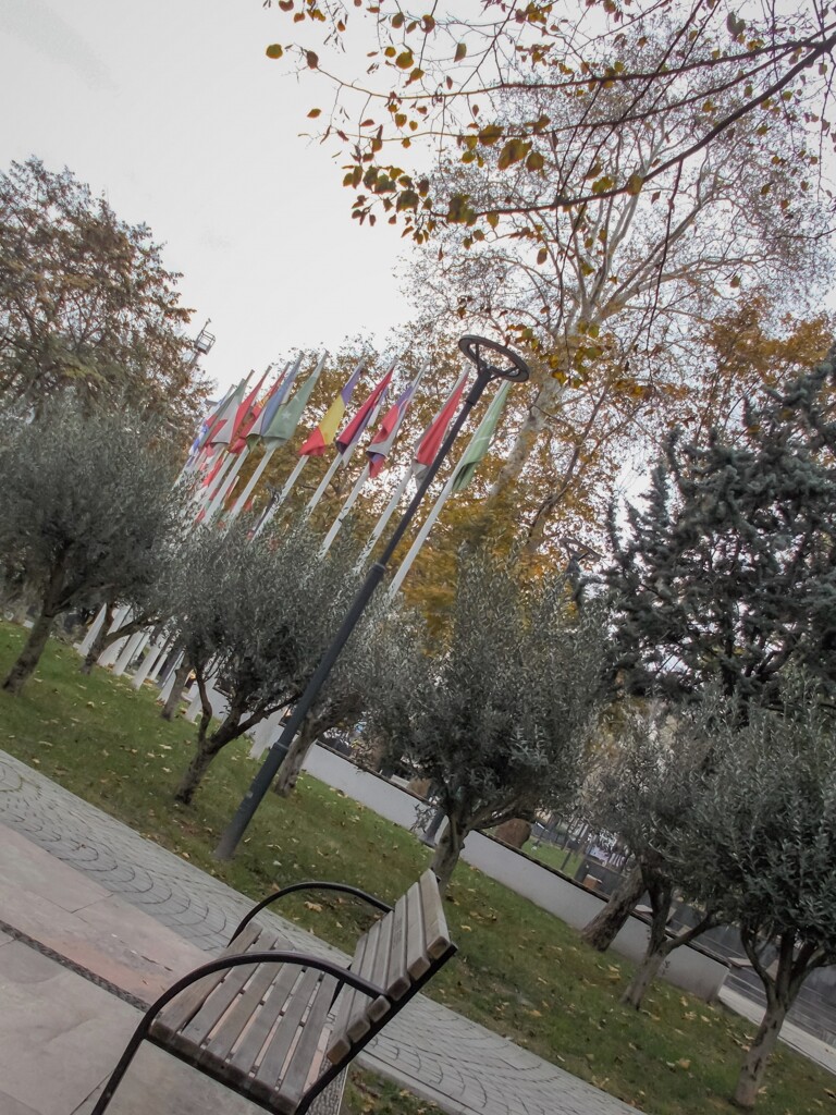 行き場がない・・・