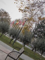 行き場がない・・・