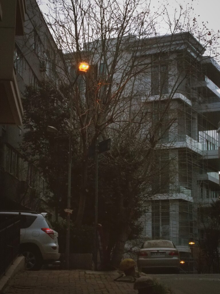 街灯…