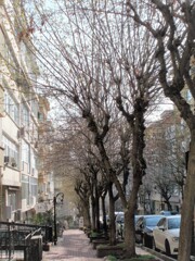 ここでも芽吹きが始まったよ～♪