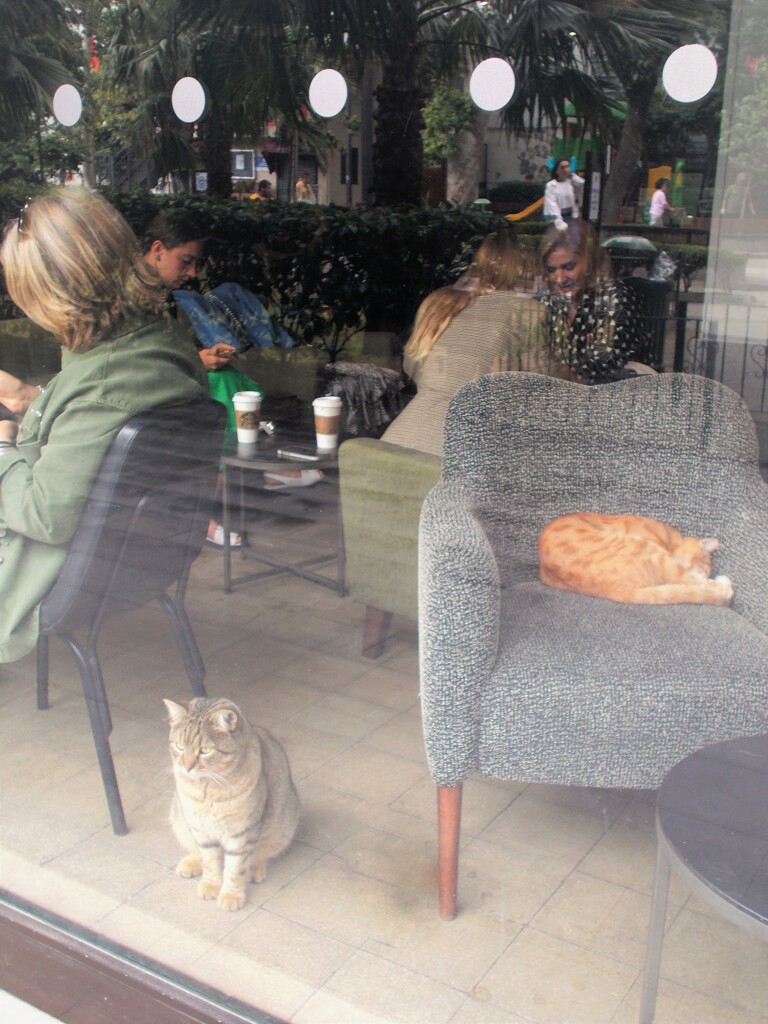 スタバで～～♪