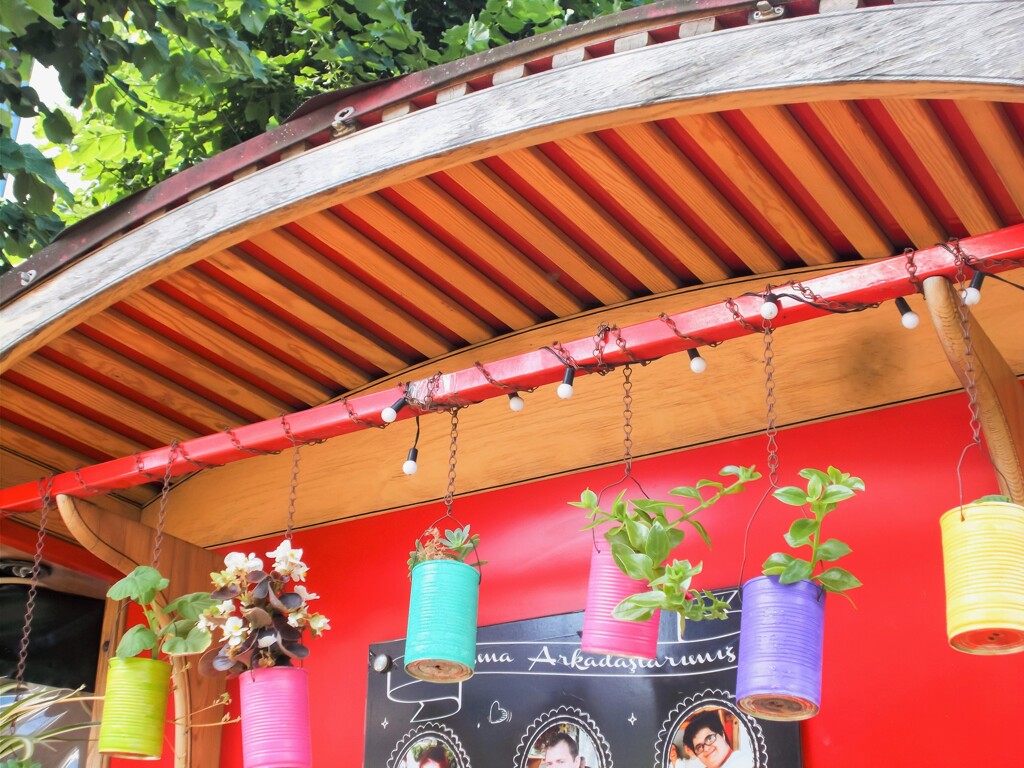 小さなカフェの缶カラ植木鉢～♪