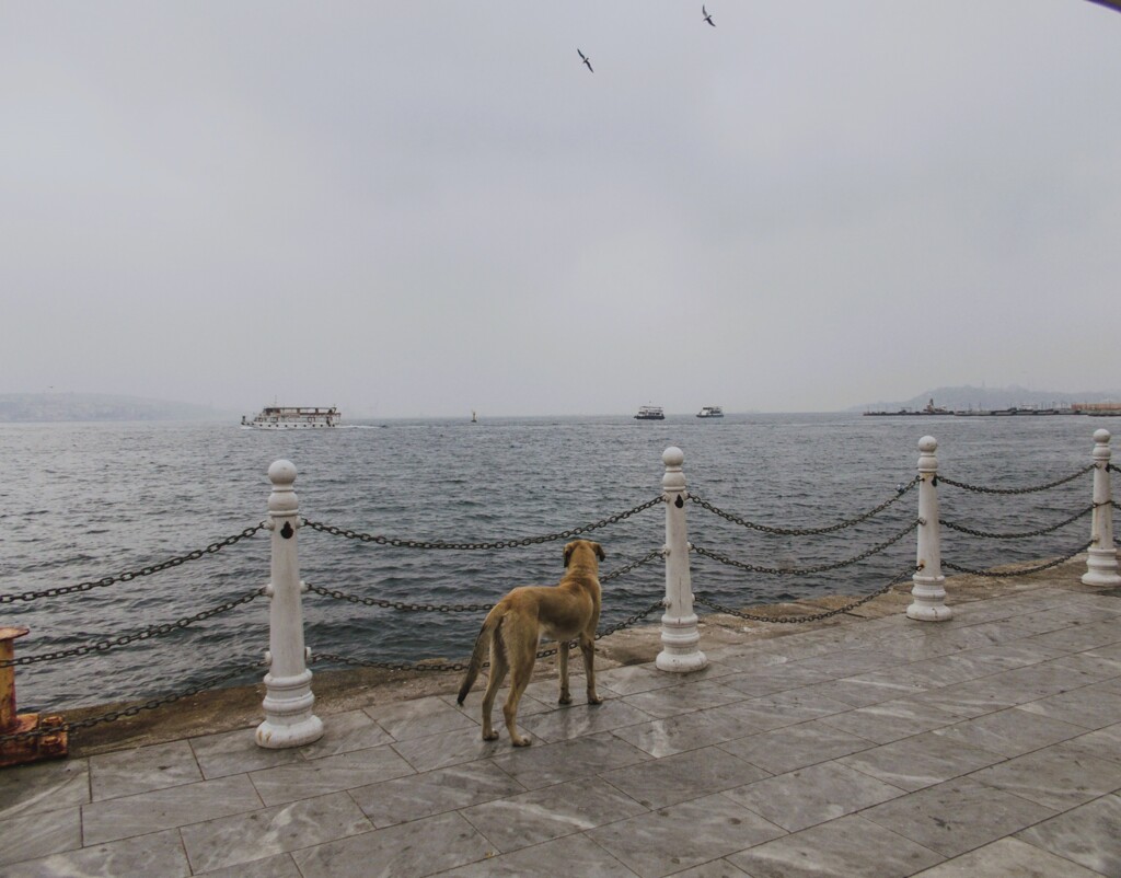 冬の海…