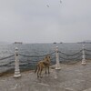 冬の海…