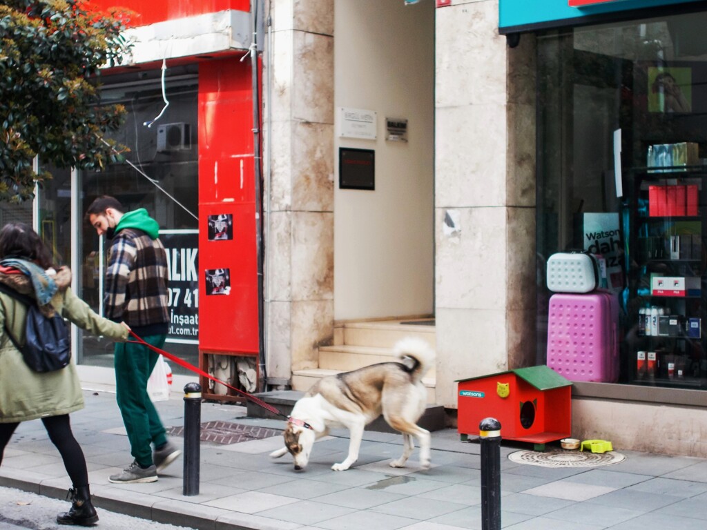 ちょっと待って！　ここ！