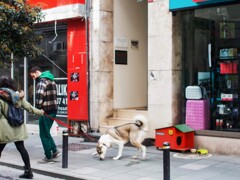 ちょっと待って！　ここ！