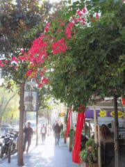 小春日和な朝～