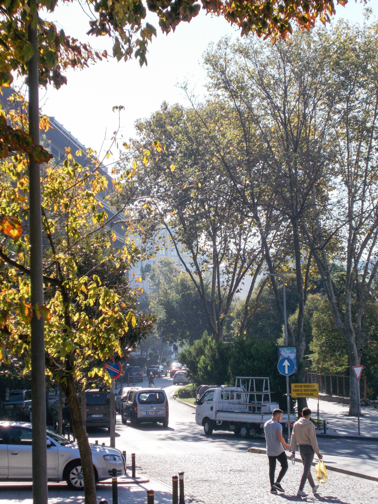 これが最後の朝陽かも・・・