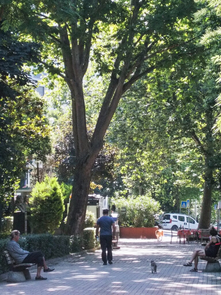 緑深い公園で～