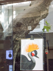 お水が飲みたい描かれた鳥…