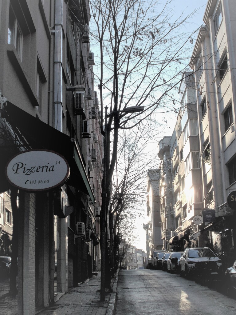 肌を刺すような冴えた冷たい朝でした～