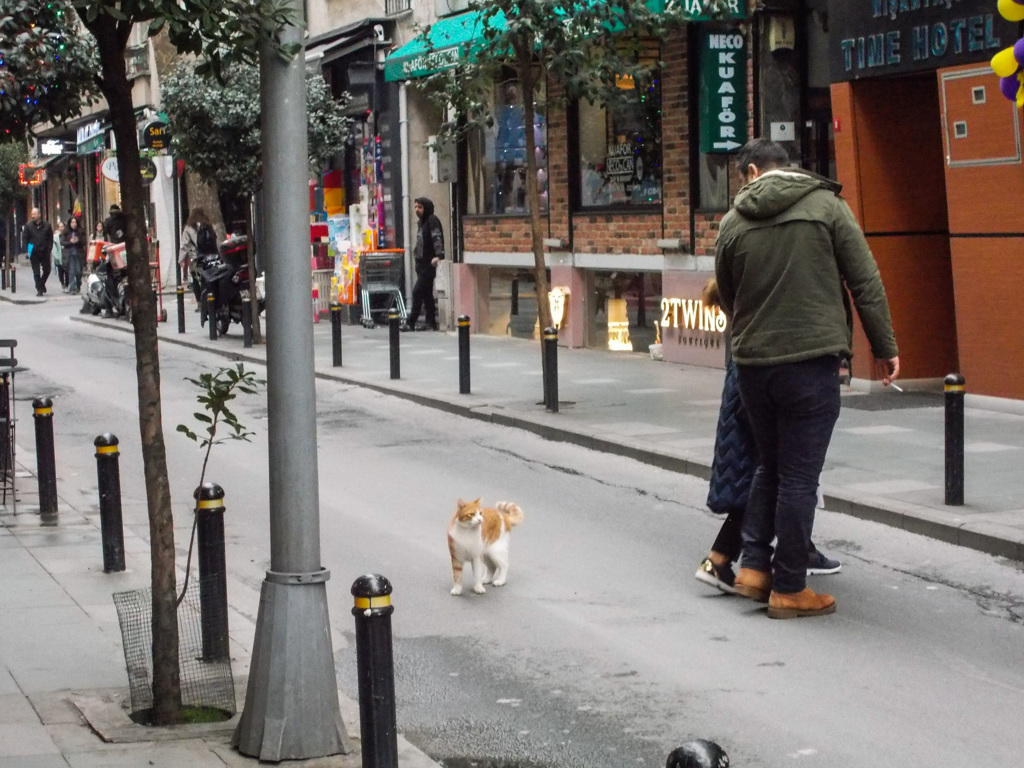ヒュウマンも振り返るニョ～