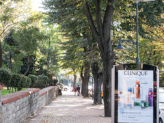 枯葉とモイスチャライザー達～