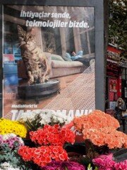 真剣ニャン…！お掃除コマンド中～～♪