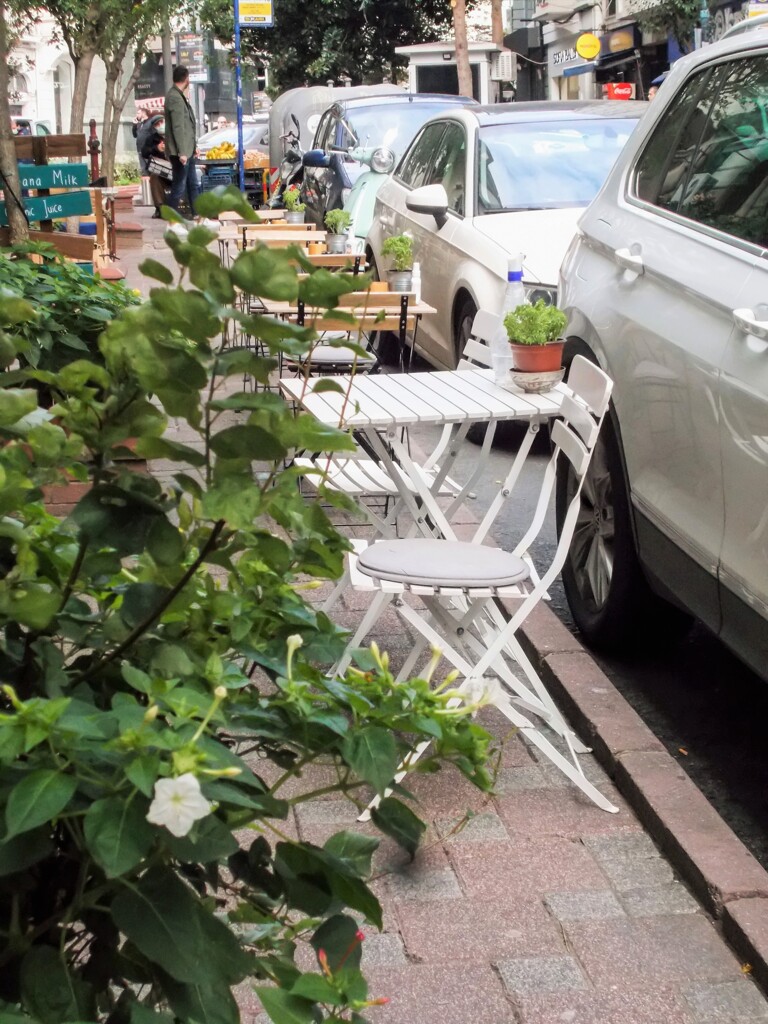 オシロイバナの狂い咲　帰り花　忘れ花　返り咲き・・・