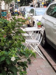 オシロイバナの狂い咲　帰り花　忘れ花　返り咲き・・・