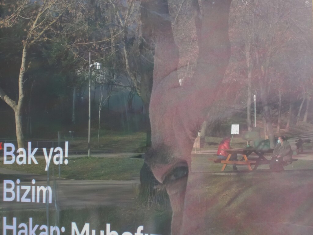 失う価値があったのだろうか・・・