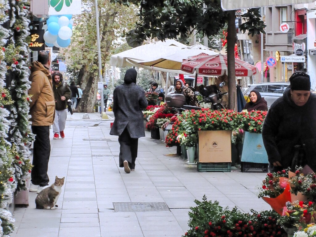 新年を祝う Kokina çiçeği～