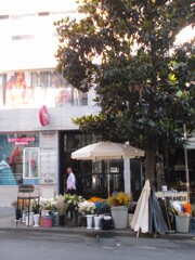 シックな花屋さんをカモメが飛び過ぎてった～～