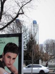 （恋愛関心度）１…？