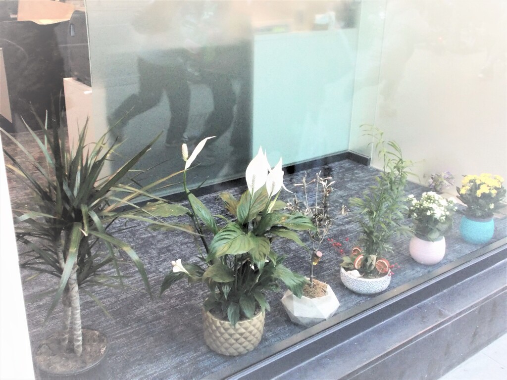 育ち盛り～～♪