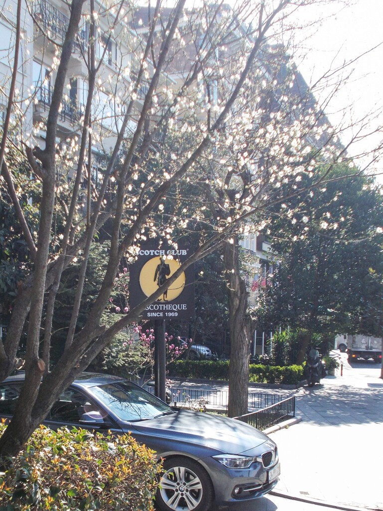 デジャヴ～☆～