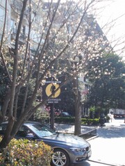 デジャヴ～☆～