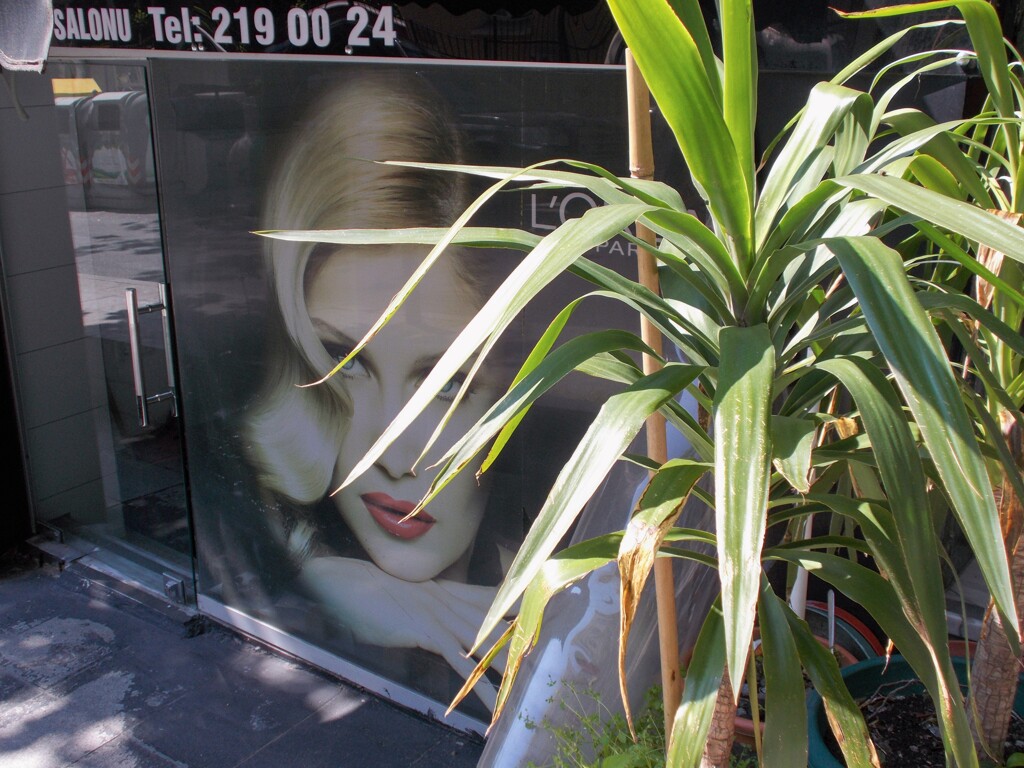 女であること・・・