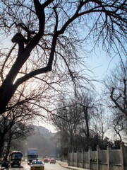 遠き道～　皆　青き空の下の出来事～～♪