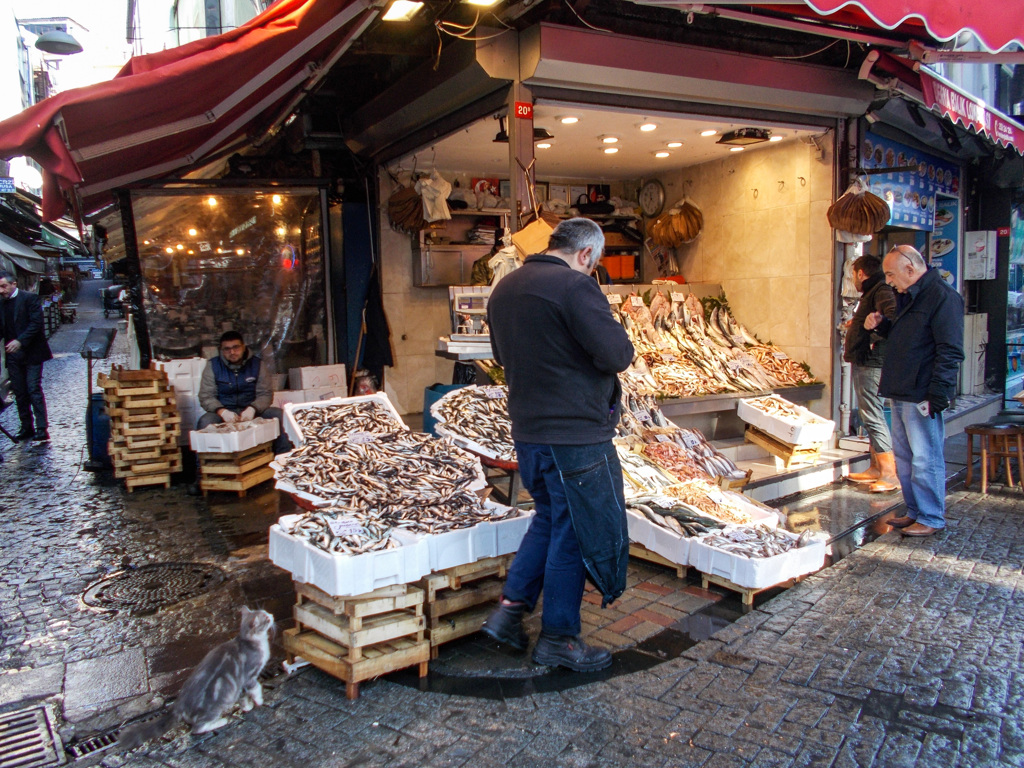 お魚　無断で頂く２秒前！