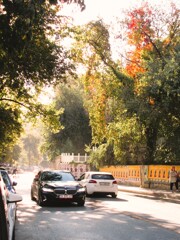 秋の朝～　漕ぎだすスクーター～光の中～～