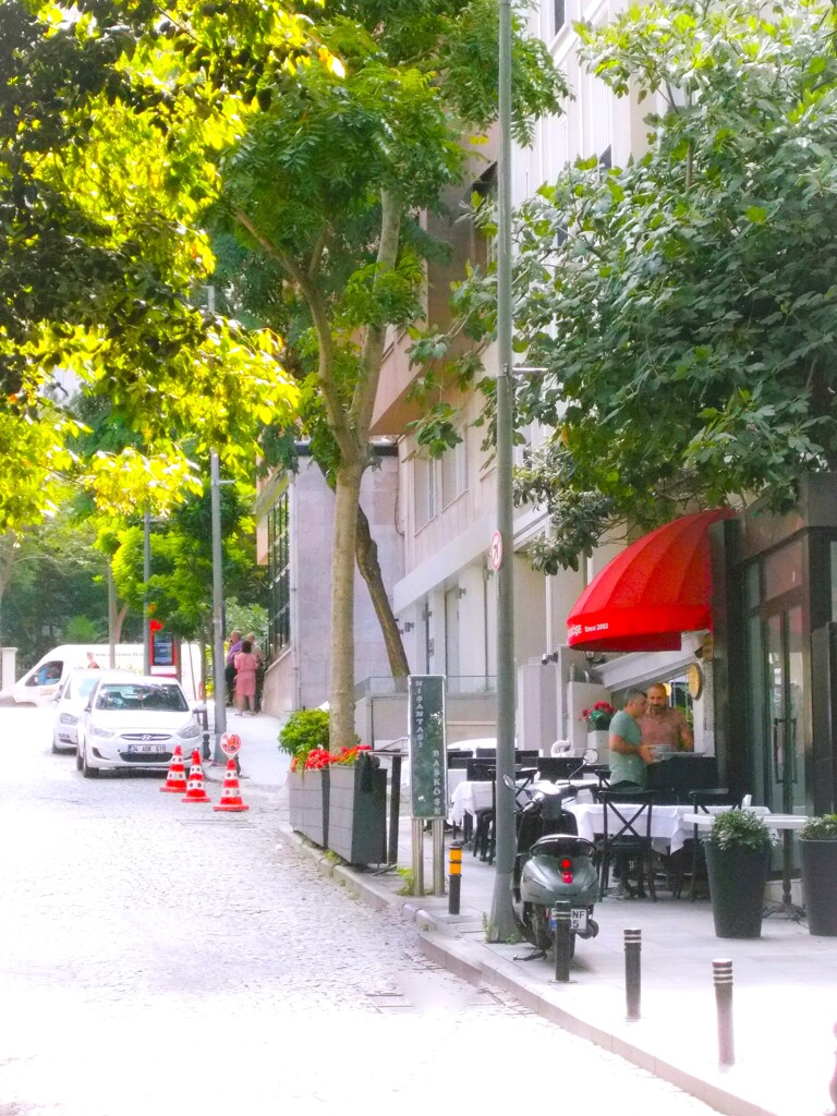 坂の途中の　あのレストランで～～♪