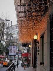 メリークリスマス～☆　ニャンちゃんからあなたに～～