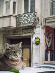 美しき貫禄～☆