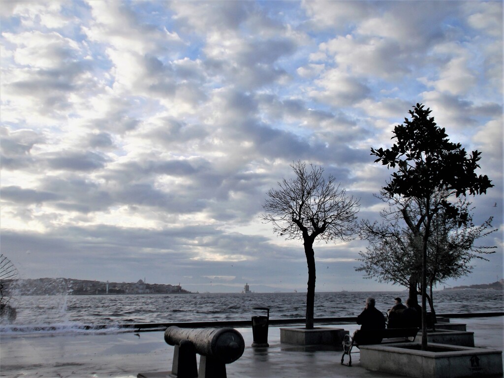 冬のボスポラス～